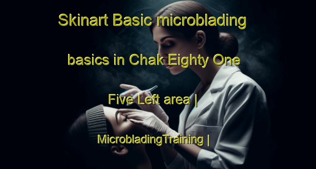Skinart Basic microblading basics in Chak Eighty One  Five Left area | MicrobladingTraining | MicrobladingClasses | SkinartTraining-Pakistan